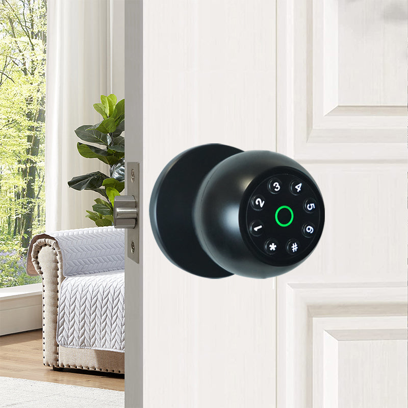 Smart Keyless Fingerprint & Password Door Lock Low Battery Alert & Dead Lock