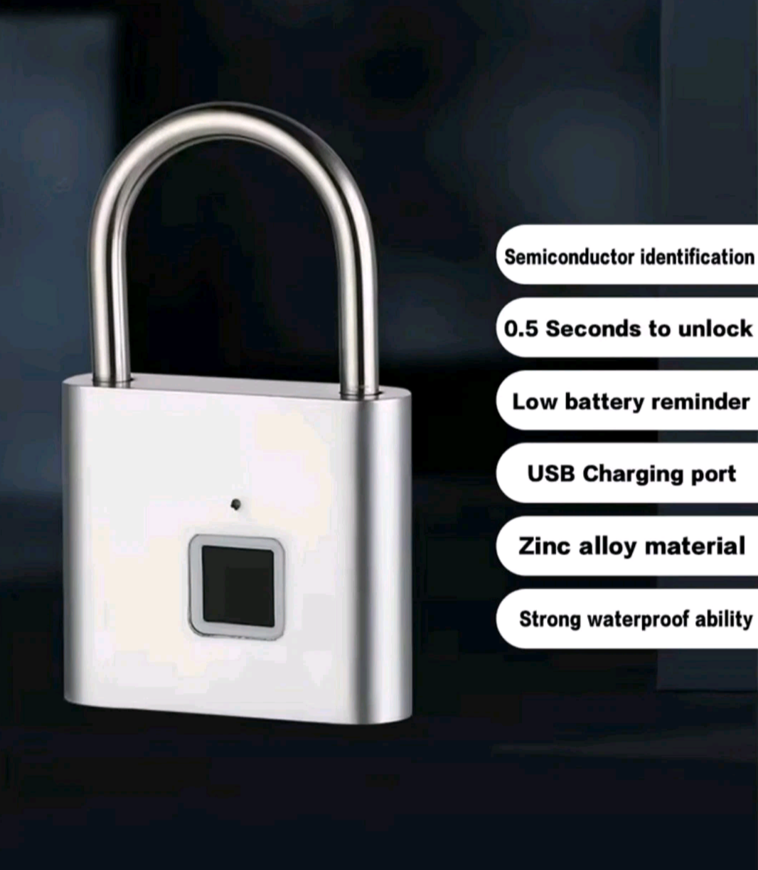 Fingerprint Padlocks Smart Keyless Biometric Thumbprint WaterProof Black or Silver