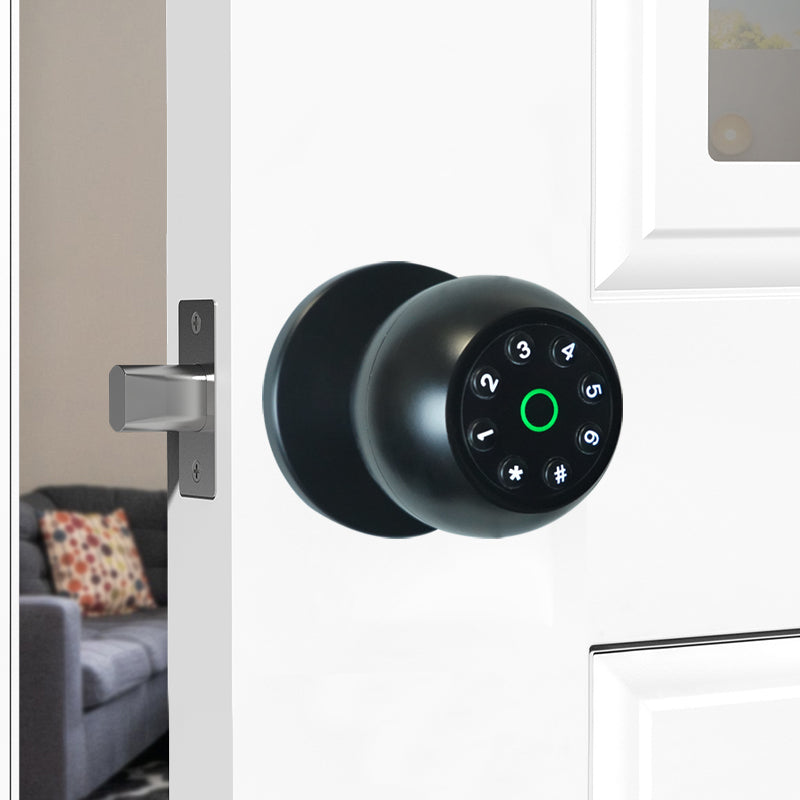 Smart Keyless Fingerprint & Password Door Lock Low Battery Alert & Dead Lock