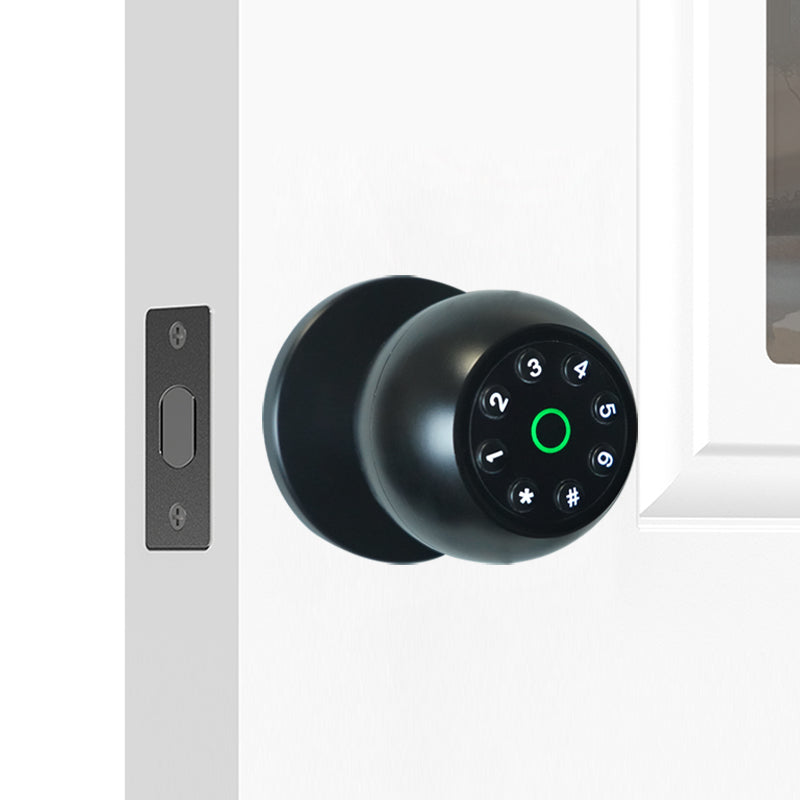 Smart Keyless Fingerprint & Password Door Lock Low Battery Alert & Dead Lock