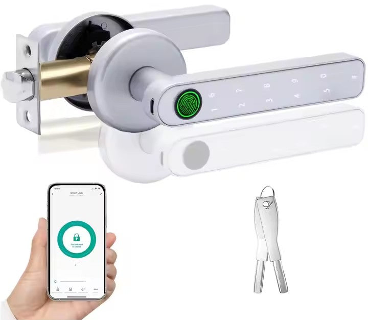 Smart Door lock 5 in 1 Fingerprint Key Password Key Card TUYA App