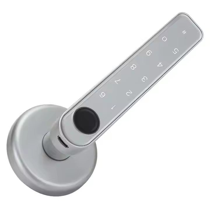 Smart Door lock 5 in 1 Fingerprint Key Password Key Card TUYA App