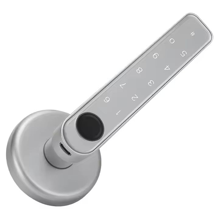 Smart Door lock 5 in 1 Fingerprint Key Password Key Card TUYA App