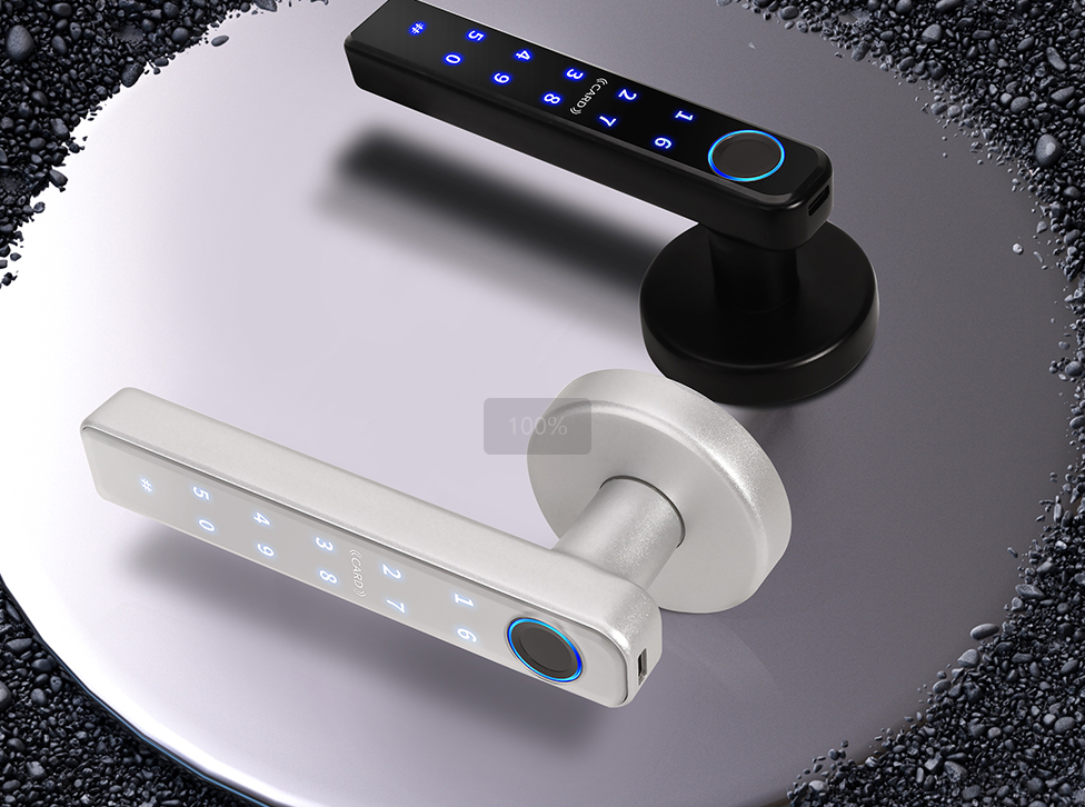 Smart Door lock 5 in 1 Fingerprint Key Password Key Card TUYA App